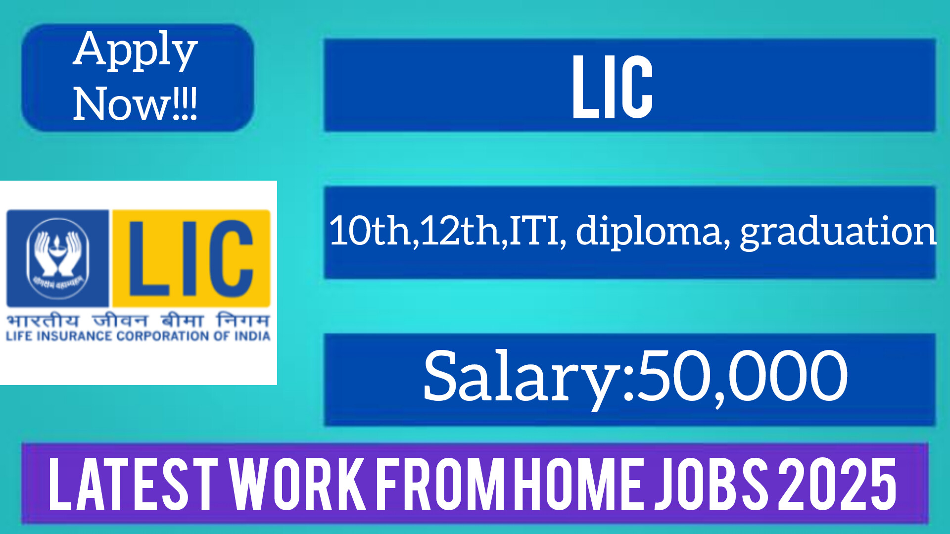 LIC Work From Home Jobs 2025
