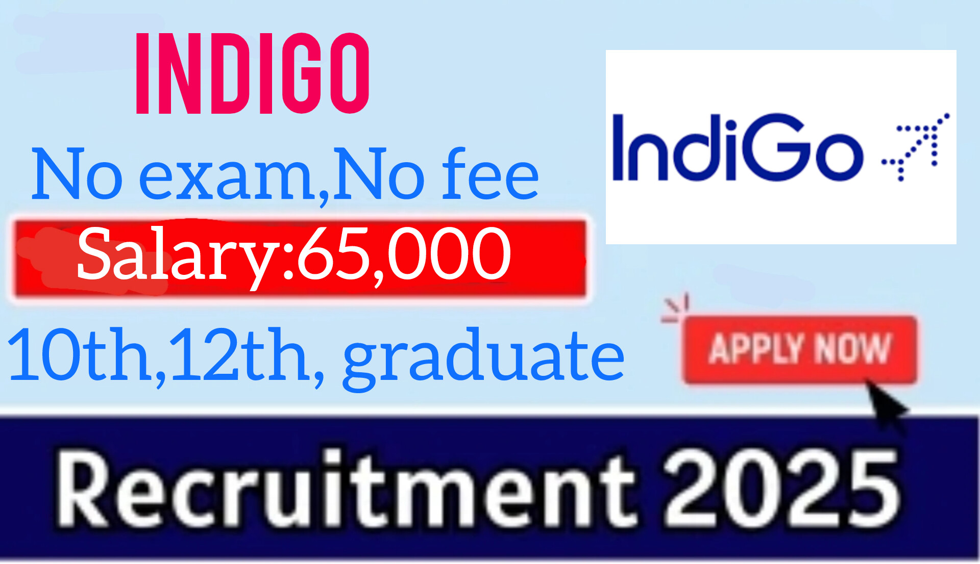 Indigo Airlines Recruitment 2025